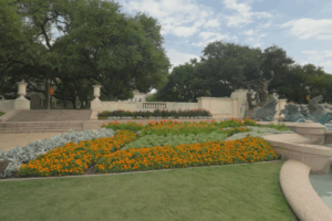 Landscaping on the University of Texas at Austin campus